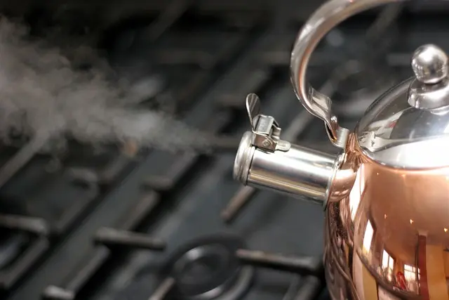 Best Kitchen Gadgets Buying Guide