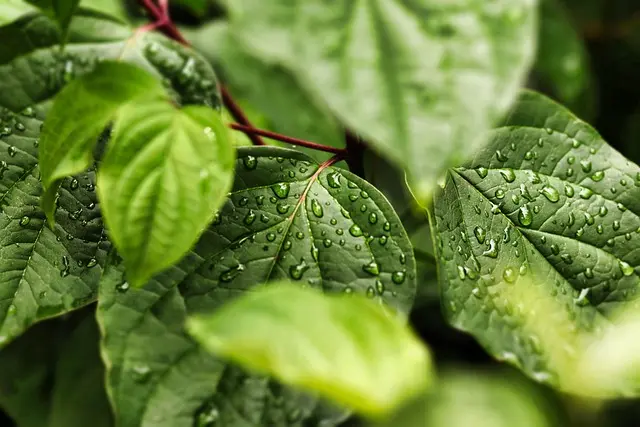 Best Eco-Friendly Kitchen Products for Sustainable Living