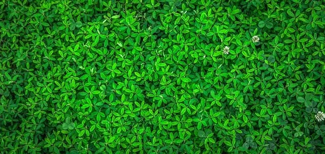 Top Eco-Friendly Products for Sustainable Living