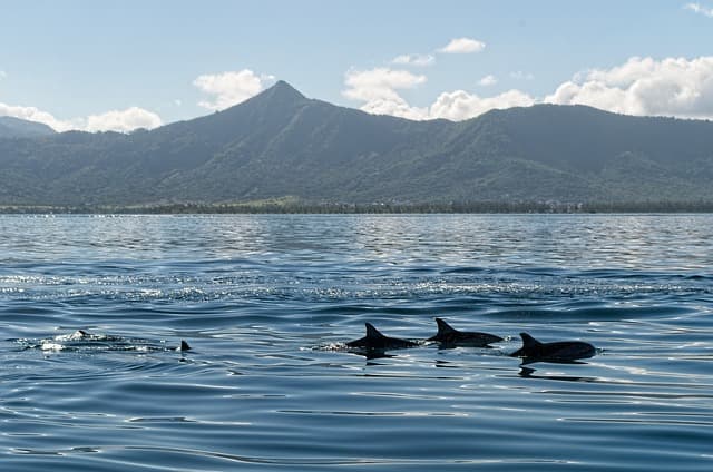 Best Islands to Visit: Your Ultimate Island Hopping Guide